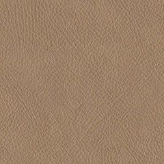 38006/48/56 : 38006S1