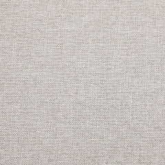 Rainier Ranch Swivel Chair w/Cushion (2/CN)